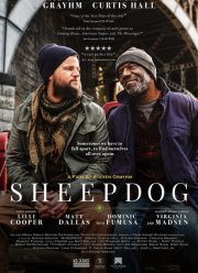 ������� (2024)