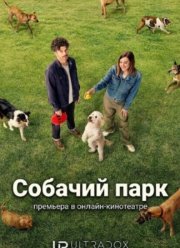 ������� ���� (2026)