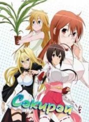 ������� (2008)