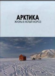 Арктика. Жизнь в лютый мороз (2012)