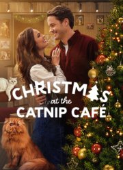 ��������� � ���� 