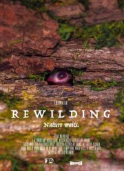 � ������� (2023)