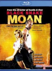 ���� ������ ���� (2006)