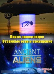 ����� ����������. �������� ���� � ��������� (2014)