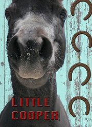 ��������� ����� (2020)