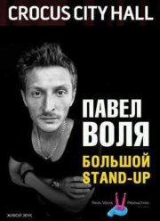 Павел Воля. Большой Stand-Up (2015)