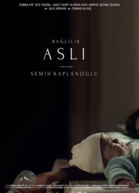   (2019)