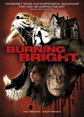 Во власти тигра (2010)