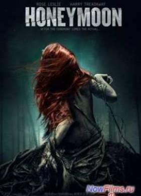 Медовый месяц (2013)