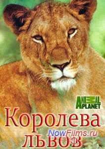 Королева львов (2015)