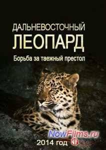 Дальневосточный леопард / Борьба за таежный престол (2014)
