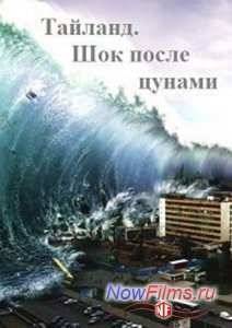 Тайланд. Шок после цунами (2014)