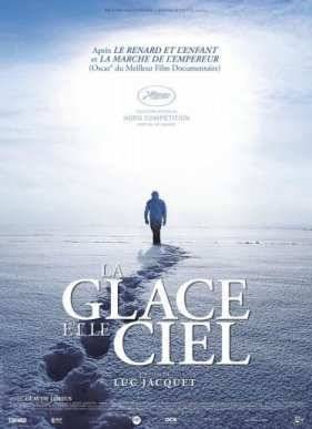 Лёд и небо (2015)