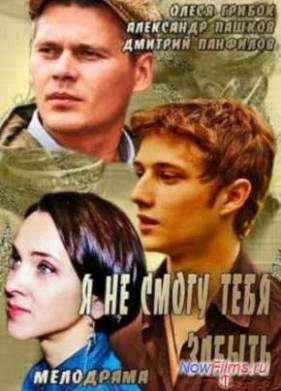 Я не смогу тебя забыть (2014)