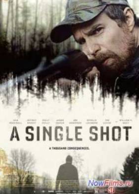 Единственный выстрел (2013)