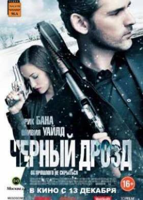 Черный дрозд (2012)