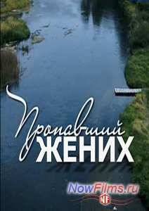 Пропавший жених (2015)