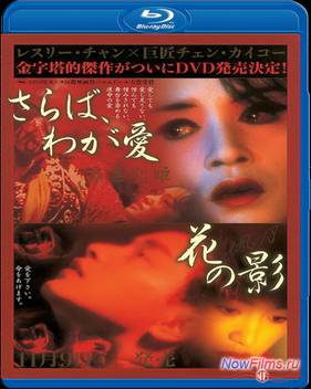 Прощай, моя наложница (1992)