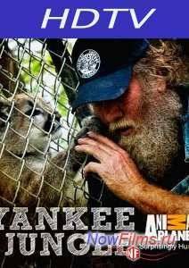 Animal Planet. Джунгли Северной Америки (2014)