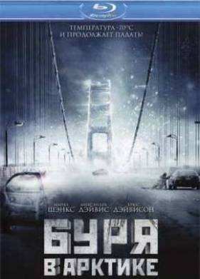 Буря в Арктике (2010)