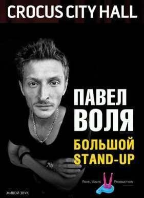 Павел Воля. Большой Stand-Up (2015)