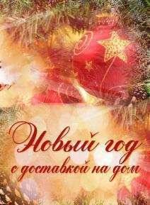 Новый год с доставкой на дом (2016)