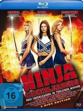 Ниндзя из группы поддержки (2008)