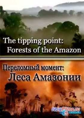 Переломный момент: Леса Амазонии (2014)