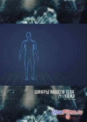 Шифры нашего тела. Кожа (2013)