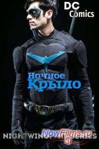 Ночное Крыло: Сериал (2014)