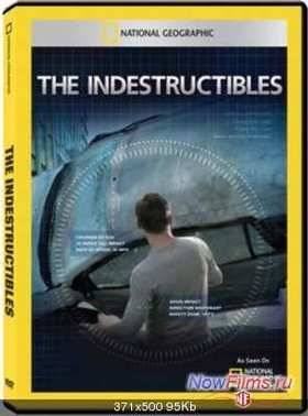 National Geographic. Несокрушимые (2011)