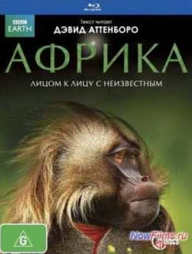 Смотреть BBC: Африка (2013)