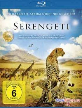 Национальный парк Серенгети (2011)