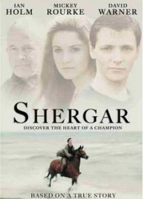 Похищение чемпиона (1999)