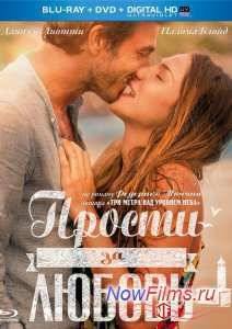 Прости за любовь (2014)