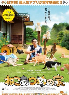 Дом кошек (2017)