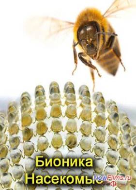 Бионика. Насекомые (2013)