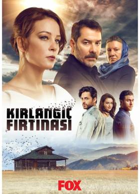   (2017)