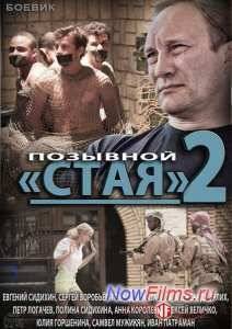 Позывной Стая 2 (2014)