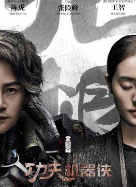 Кунг-фу путешественник 2 (2017)
