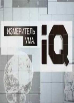 Измеритель ума. IQ (2012)