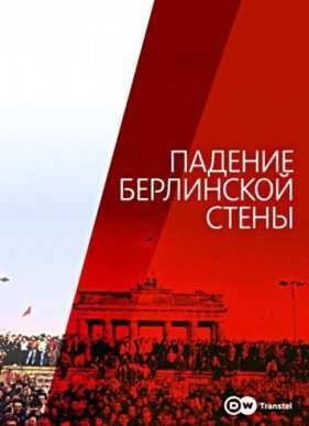 Падение Берлинской стены (2009)