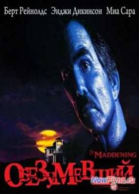 Обезумевший / Безумие (1995)