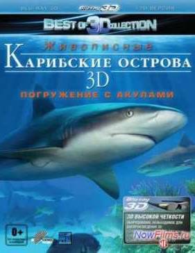 Карибские острова 3D: Погружение с акулами (2012)