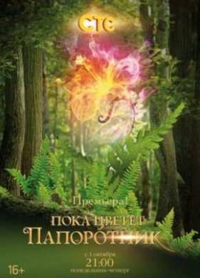 Пока цветёт папоротник. Фильм о фильме (2012)